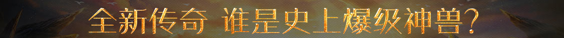 合肥市新闻网